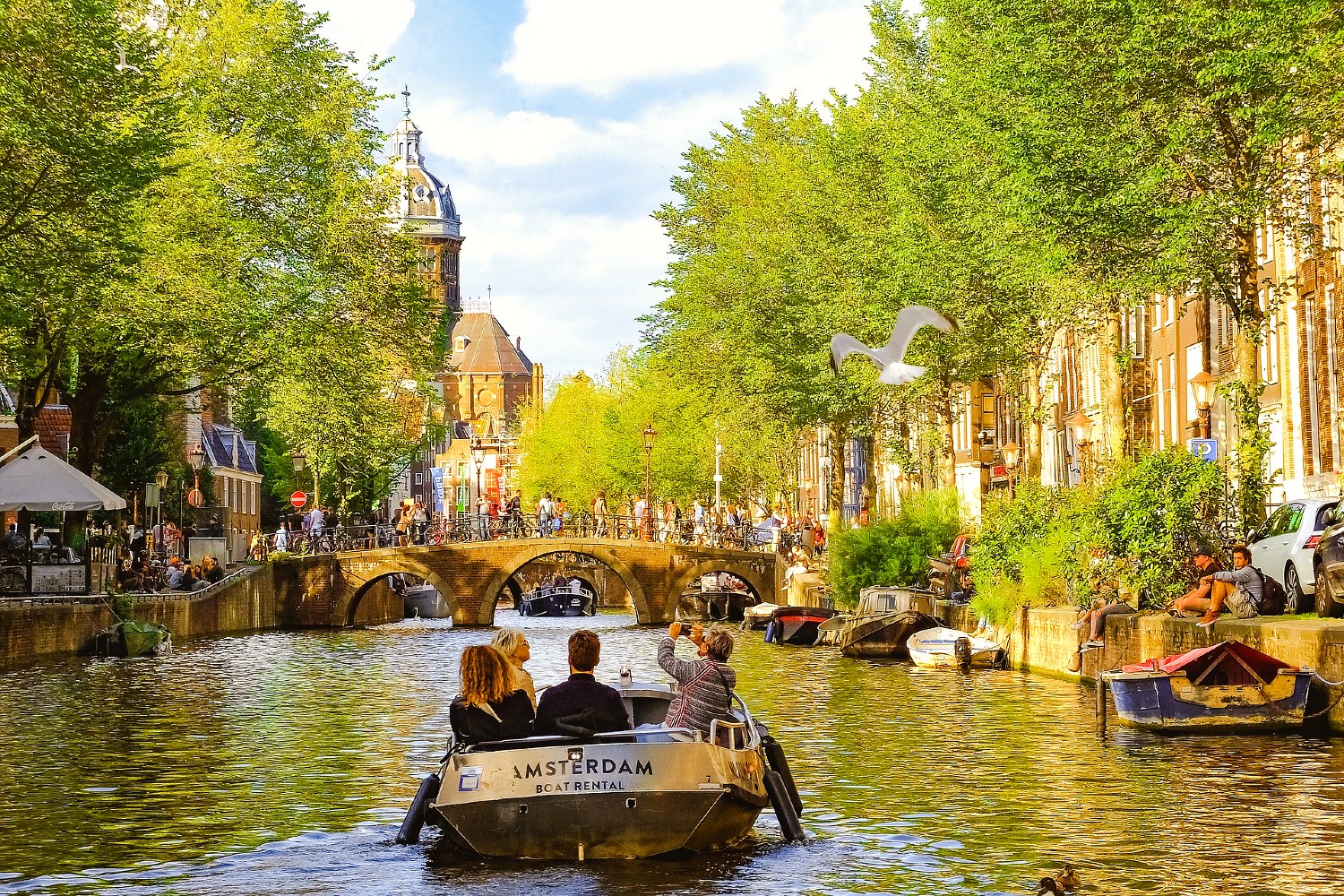 behagelig det tvivler jeg på Fader fage Seværdigheder i Amsterdam: De 15 bedste oplevelser (2023)